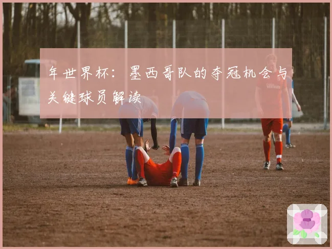 年世界杯：墨西哥队的夺冠机会与关键球员解读