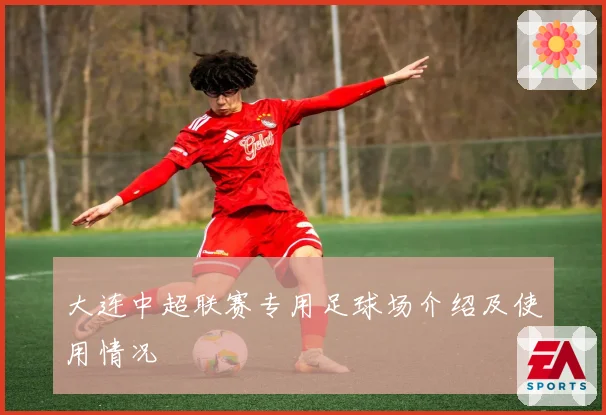 大连中超联赛专用足球场介绍及使用情况