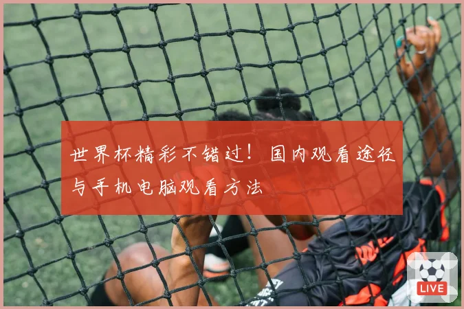 世界杯精彩不错过！国内观看途径与手机电脑观看方法