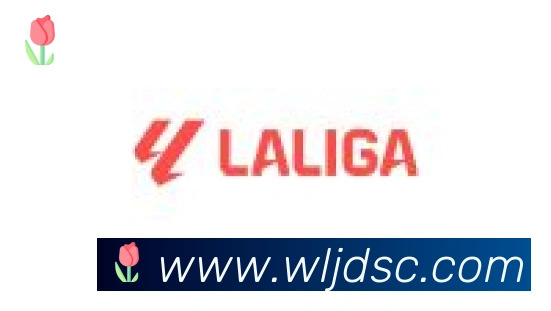 爱游戏ayx合作伙伴